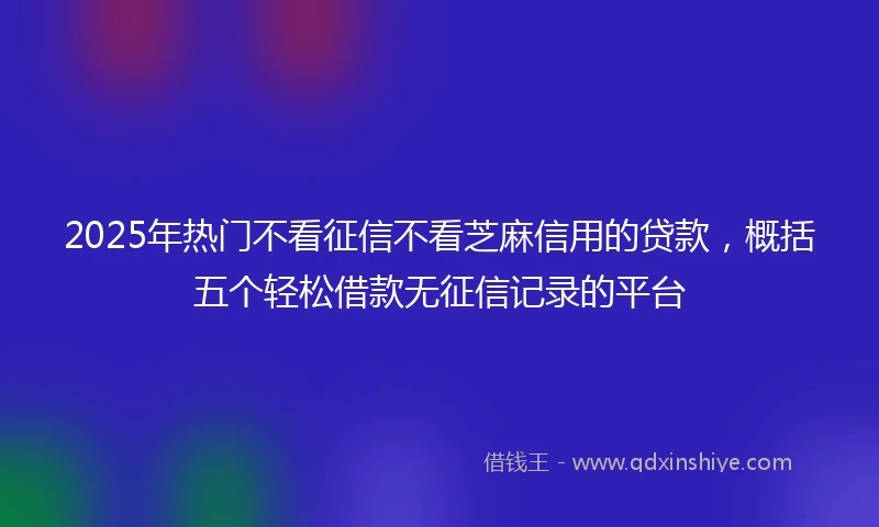 2025年热门不看征信不看芝麻信用的贷款，概括五个轻松借款无征信记录的平台