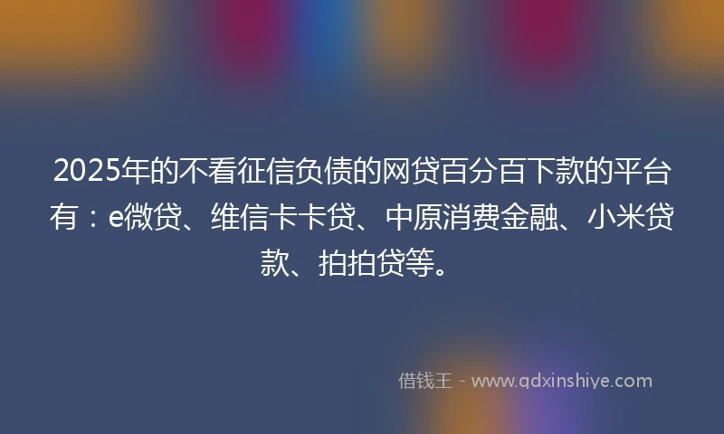 2025年的不看征信负债的网贷百分百下款的平台有：e微贷、维信卡卡贷、中原消费金融、小米贷款、拍拍贷等。
