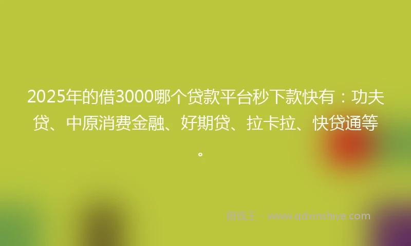 2025年的借3000哪个贷款平台秒下款快有：功夫贷、中原消费金融、好期贷、拉卡拉、快贷通等。