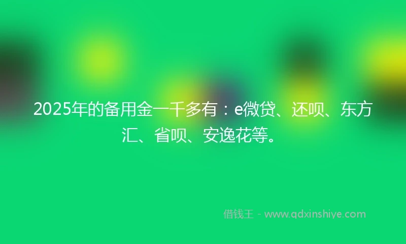 2025年的备用金一千多有：e微贷、还呗、东方汇、省呗、安逸花等。
