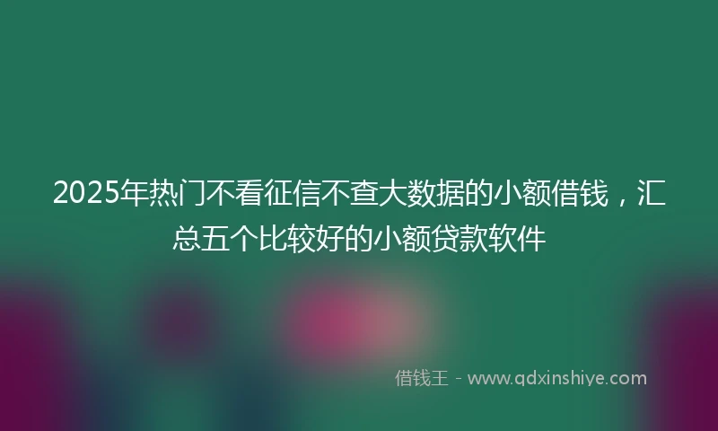 2025年热门不看征信不查大数据的小额借钱，汇总五个比较好的小额贷款软件