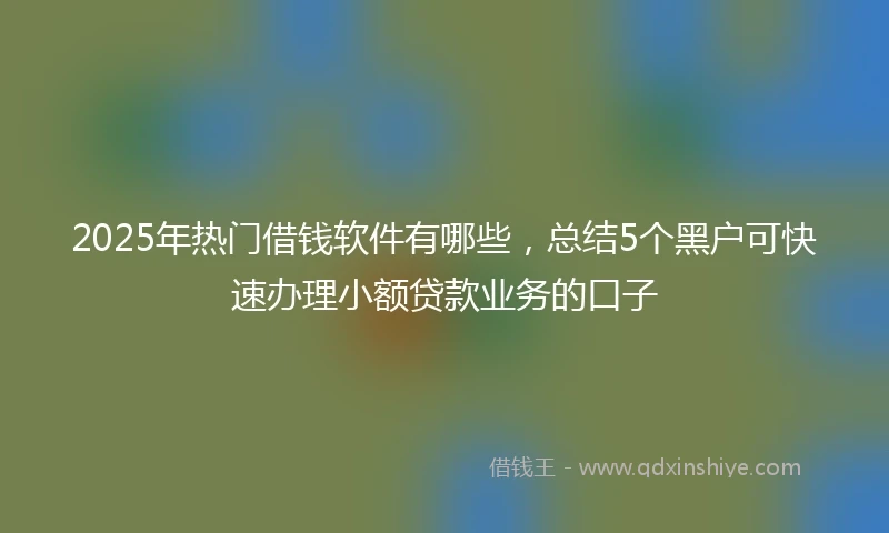 2025年热门借钱软件有哪些，总结5个黑户可快速办理小额贷款业务的口子