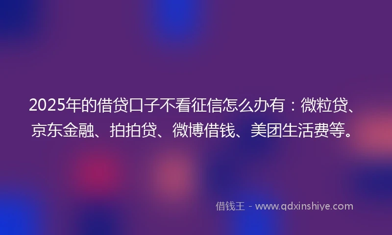 2025年的借贷口子不看征信怎么办有：微粒贷、京东金融、拍拍贷、微博借钱、美团生活费等。