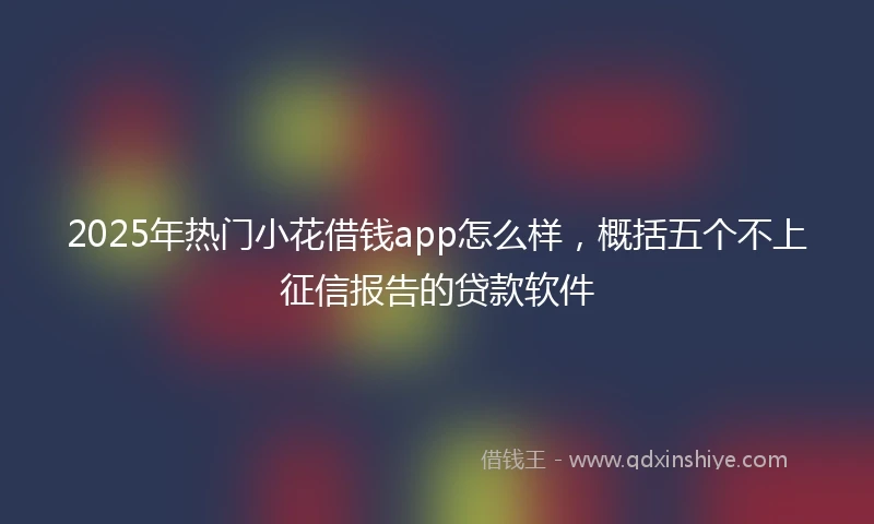 2025年热门小花借钱app怎么样，概括五个不上征信报告的贷款软件