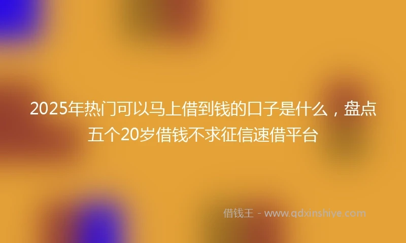 2025年热门可以马上借到钱的口子是什么，盘点五个20岁借钱不求征信速借平台
