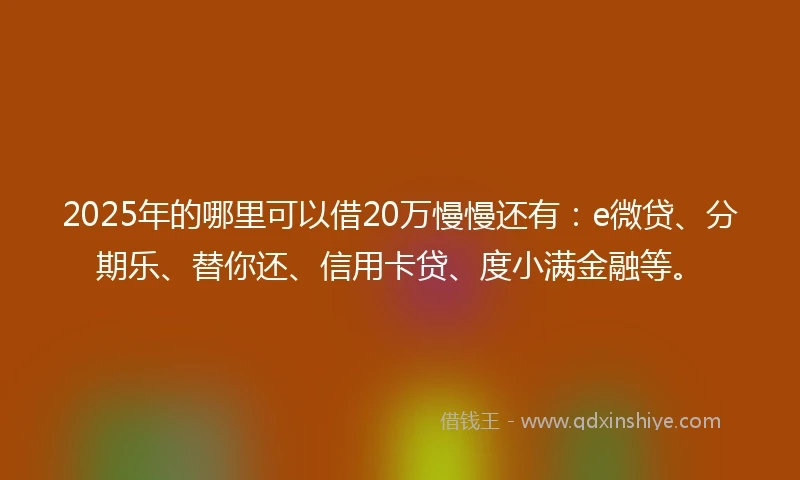 2025年的哪里可以借20万慢慢还有：e微贷、分期乐、替你还、信用卡贷、度小满金融等。