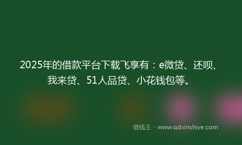 2025年的借款平台下载飞享有：e微贷、还呗、我来贷、51人品贷、小花钱包等。