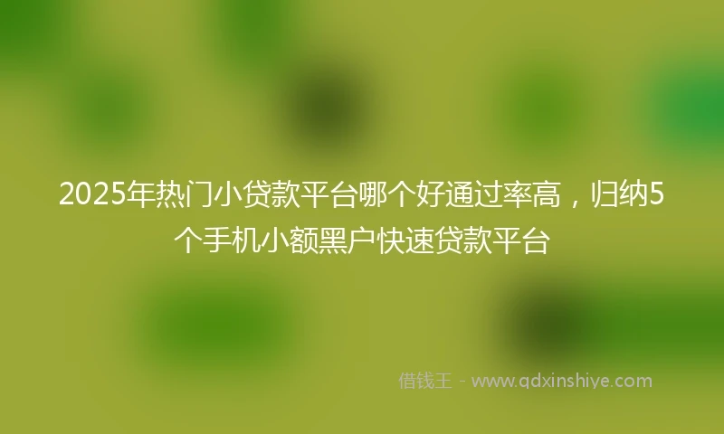 2025年热门小贷款平台哪个好通过率高，归纳5个手机小额黑户快速贷款平台