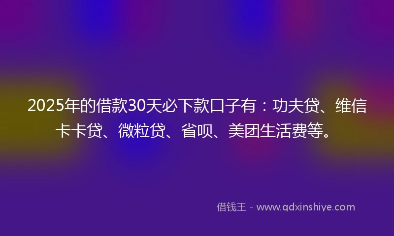 2025年的借款30天必下款口子有：功夫贷、维信卡卡贷、微粒贷、省呗、美团生活费等。