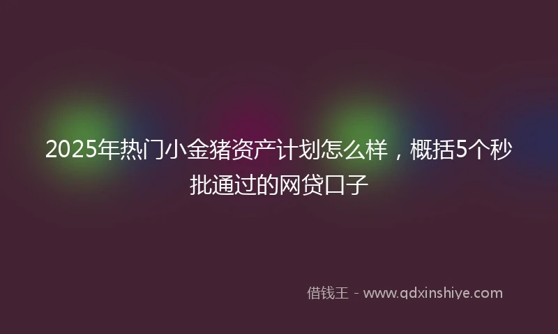 2025年热门小金猪资产计划怎么样，概括5个秒批通过的网贷口子