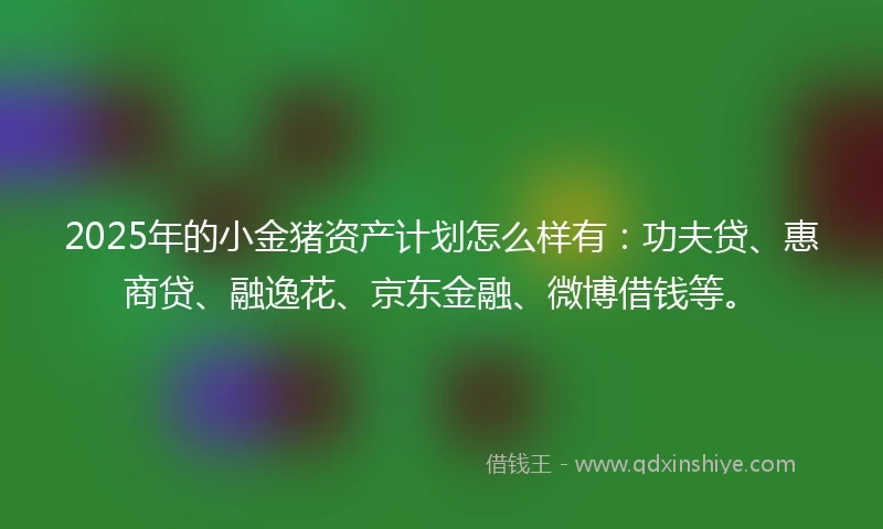2025年的小金猪资产计划怎么样有：功夫贷、惠商贷、融逸花、京东金融、微博借钱等。