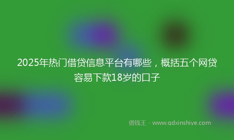 2025年热门借贷信息平台有哪些，概括五个网贷容易下款18岁的口子
