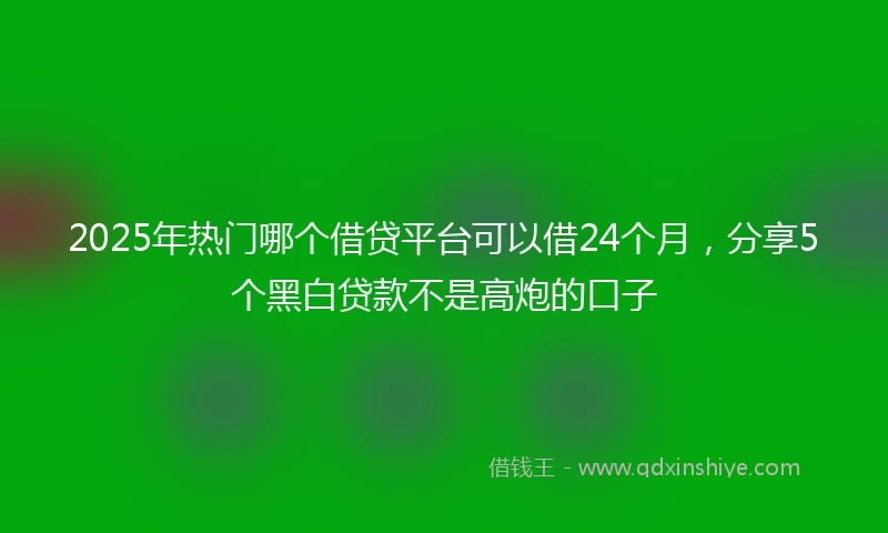 2025年热门哪个借贷平台可以借24个月，分享5个黑白贷款不是高炮的口子