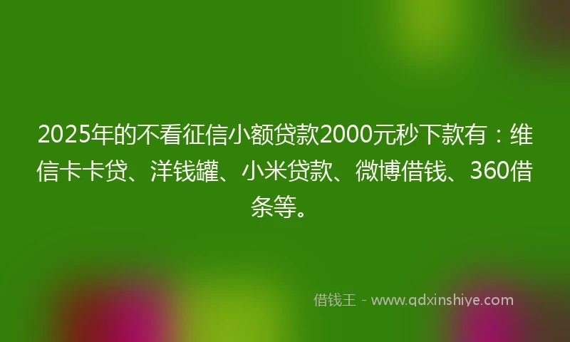 2025年的不看征信小额贷款2000元秒下款有：维信卡卡贷、洋钱罐、小米贷款、微博借钱、360借条等。