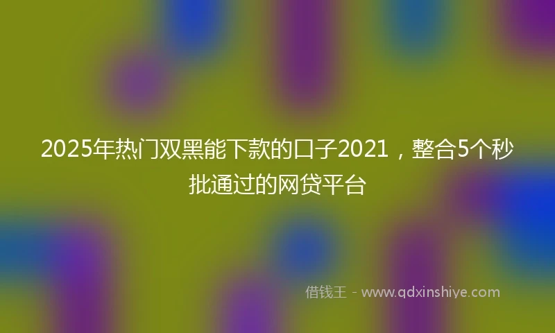 2025年热门双黑能下款的口子2021，整合5个秒批通过的网贷平台
