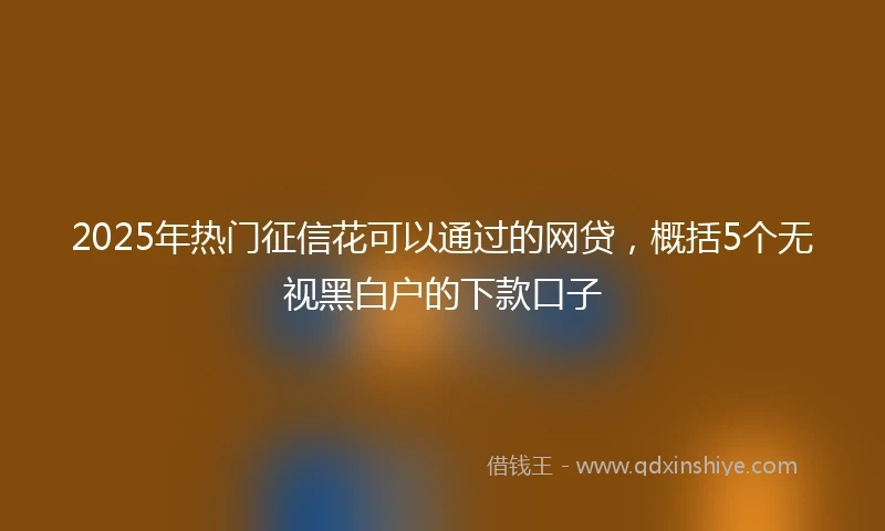 2025年热门征信花可以通过的网贷，概括5个无视黑白户的下款口子