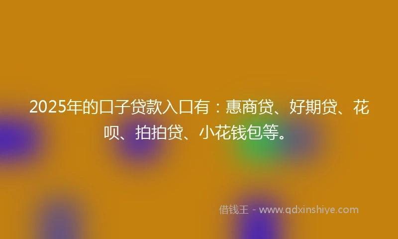 2025年的口子贷款入口有：惠商贷、好期贷、花呗、拍拍贷、小花钱包等。