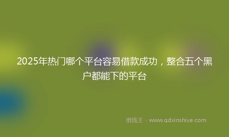 2025年热门哪个平台容易借款成功,整合五个黑户都能下的平台