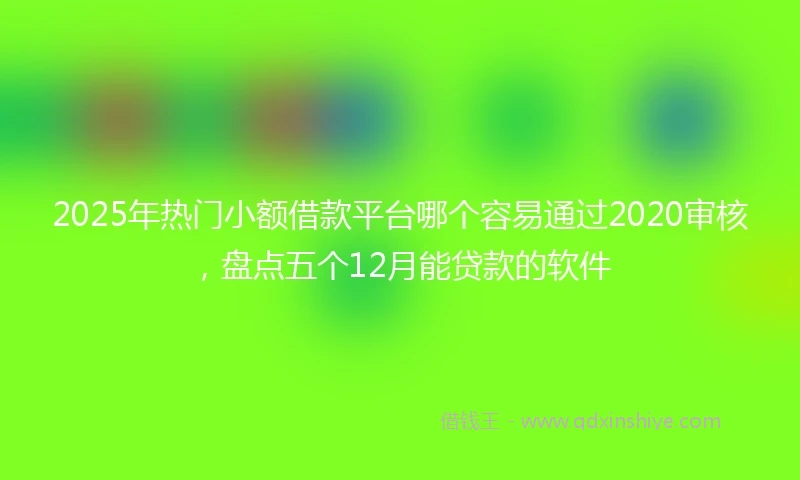 2025年热门小额借款平台哪个容易通过2020审核，盘点五个12月能贷款的软件