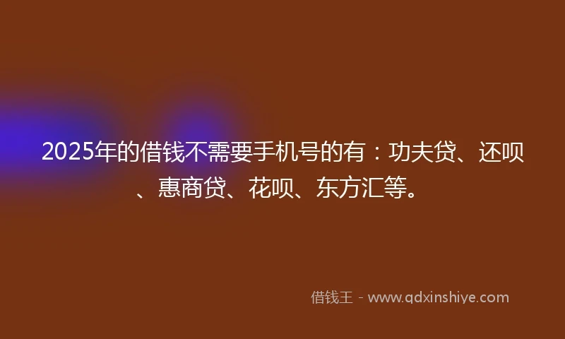 2025年的借钱不需要手机号的有：功夫贷、还呗、惠商贷、花呗、东方汇等。