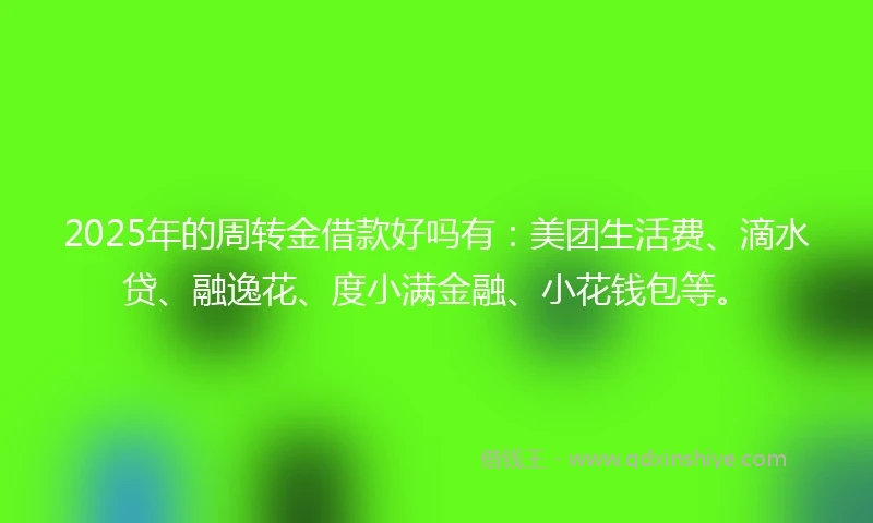 2025年的周转金借款好吗有：美团生活费、滴水贷、融逸花、度小满金融、小花钱包等。