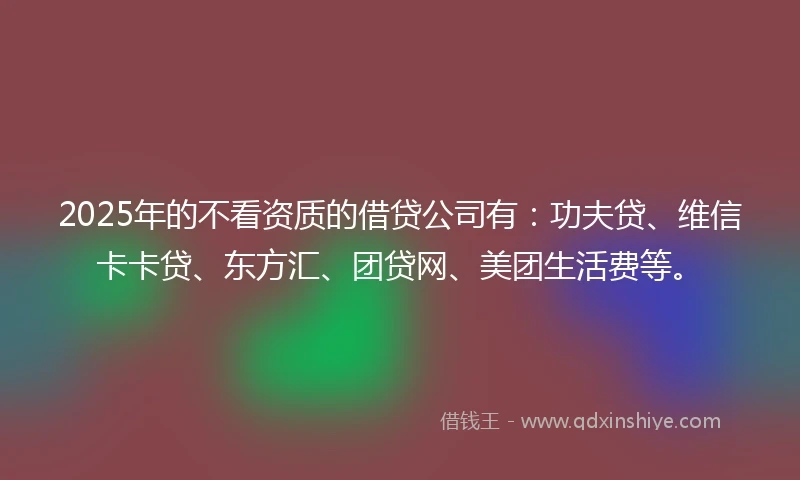 2025年的不看资质的借贷公司有：功夫贷、维信卡卡贷、东方汇、团贷网、美团生活费等。