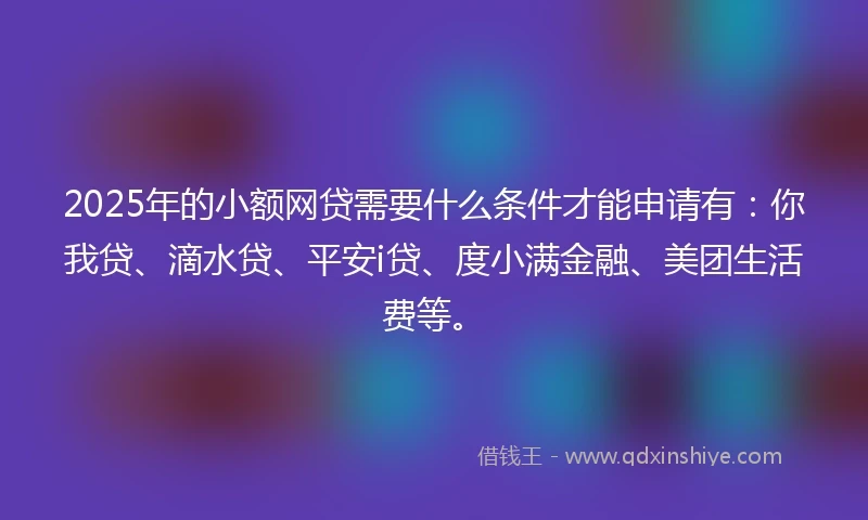 2025年的小额网贷需要什么条件才能申请有：你我贷、滴水贷、平安i贷、度小满金融、美团生活费等。