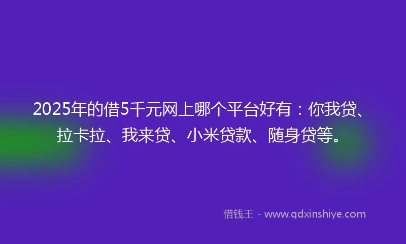 2025年的借5千元网上哪个平台好有：你我贷、拉卡拉、我来贷、小米贷款、随身贷等。