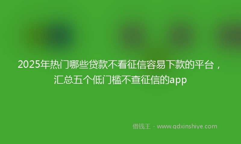 2025年热门哪些贷款不看征信容易下款的平台，汇总五个低门槛不查征信的app