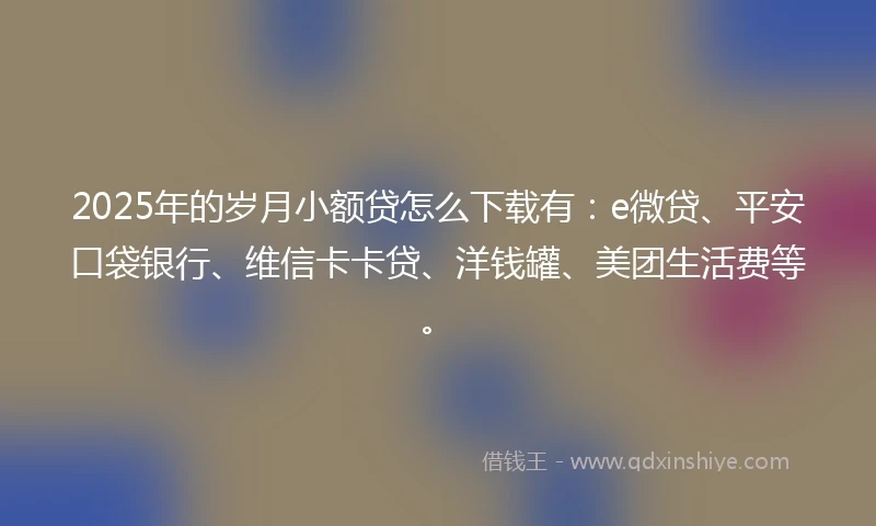 2025年的岁月小额贷怎么下载有：e微贷、平安口袋银行、维信卡卡贷、洋钱罐、美团生活费等。