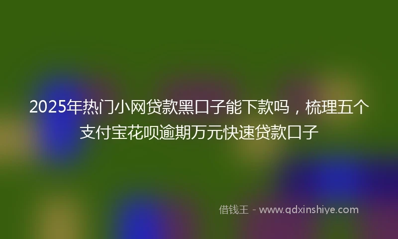 2025年热门小网贷款黑口子能下款吗，梳理五个支付宝花呗逾期万元快速贷款口子