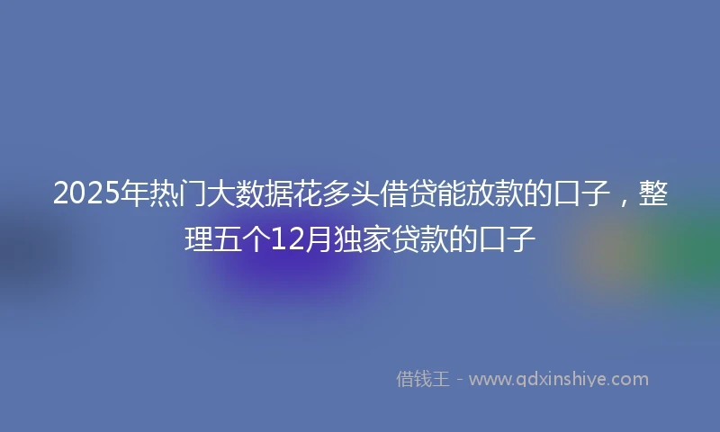 2025年热门大数据花多头借贷能放款的口子，整理五个12月独家贷款的口子