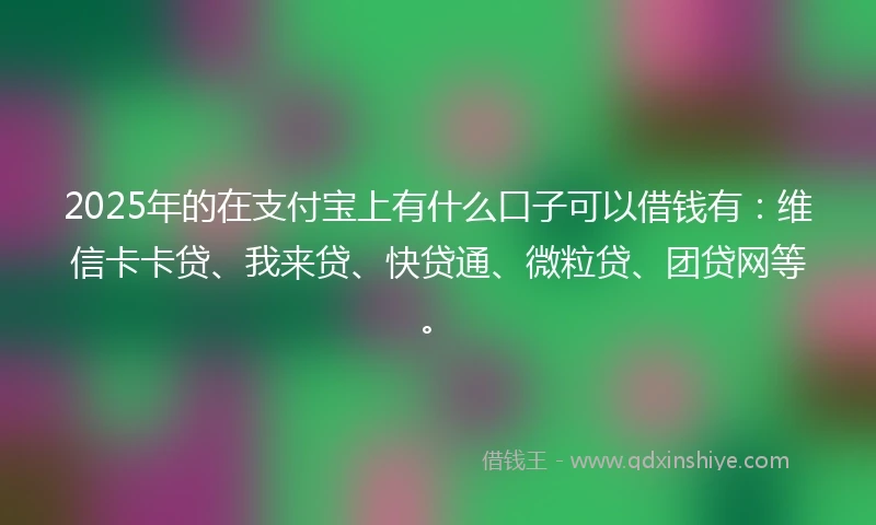 2025年的在支付宝上有什么口子可以借钱有：维信卡卡贷、我来贷、快贷通、微粒贷、团贷网等。