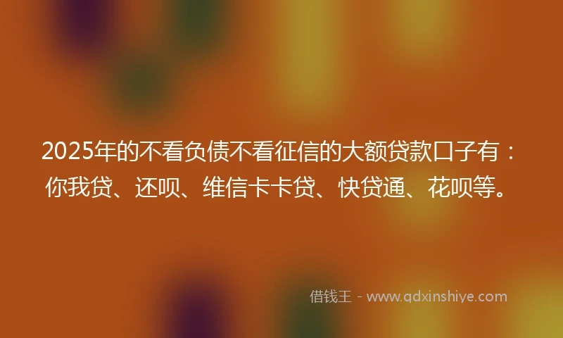 2025年的不看负债不看征信的大额贷款口子有：你我贷、还呗、维信卡卡贷、快贷通、花呗等。