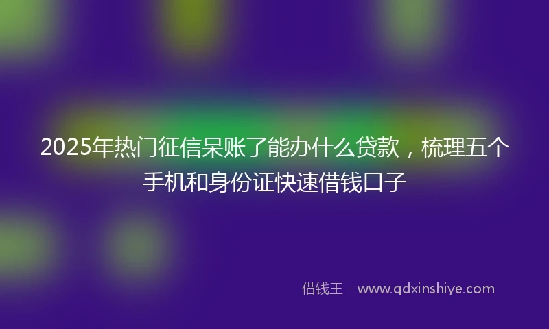 2025年热门征信呆账了能办什么贷款，梳理五个手机和身份证快速借钱口子
