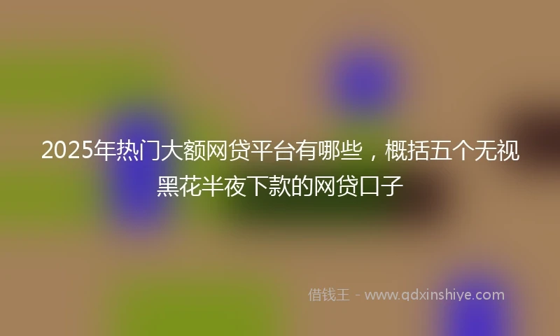 2025年热门大额网贷平台有哪些，概括五个无视黑花半夜下款的网贷口子
