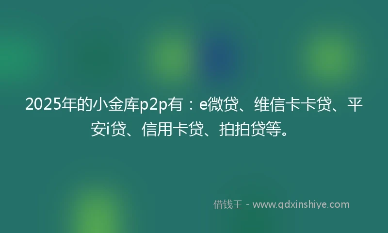 2025年的小金库p2p有：e微贷、维信卡卡贷、平安i贷、信用卡贷、拍拍贷等。