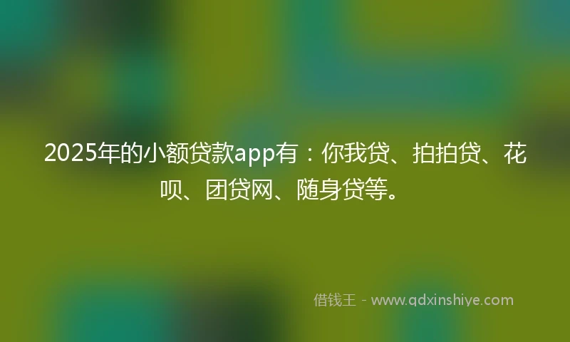 2025年的小额贷款app有：你我贷、拍拍贷、花呗、团贷网、随身贷等。