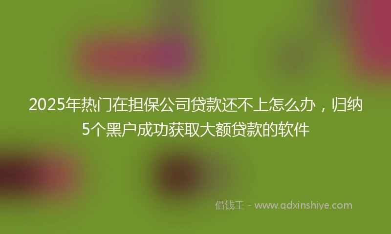 2025年热门在担保公司贷款还不上怎么办，归纳5个黑户成功获取大额贷款的软件