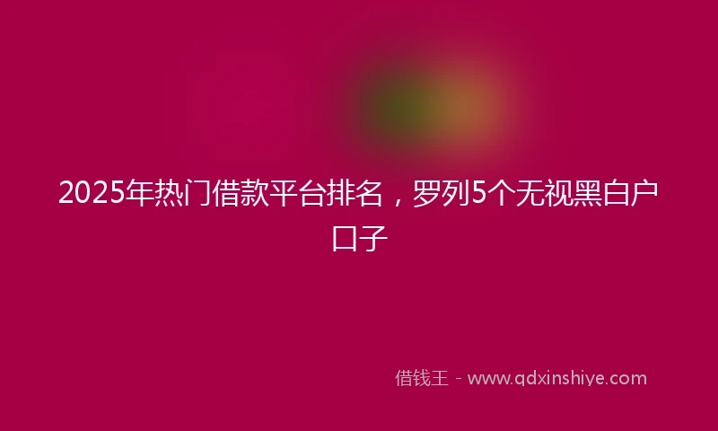 2025年热门借款平台排名，罗列5个无视黑白户口子