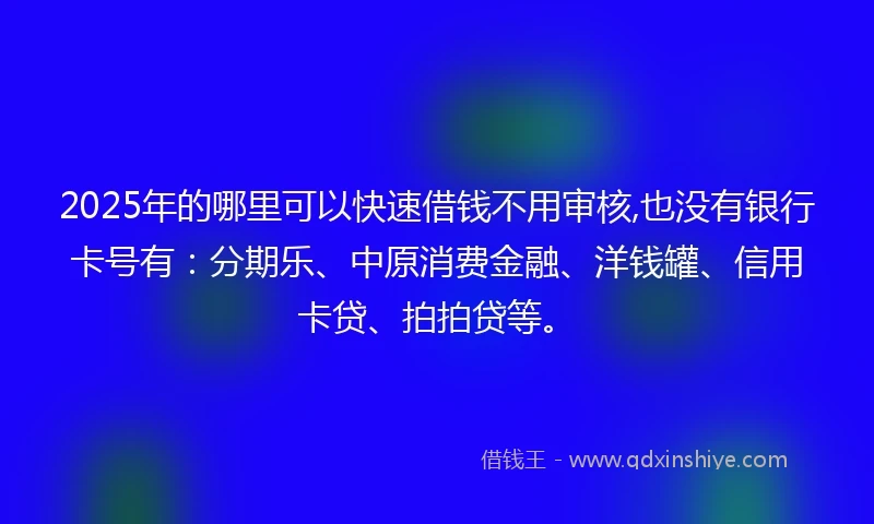 2025年的哪里可以快速借钱不用审核,也没有银行卡号有：分期乐、中原消费金融、洋钱罐、信用卡贷、拍拍贷等。