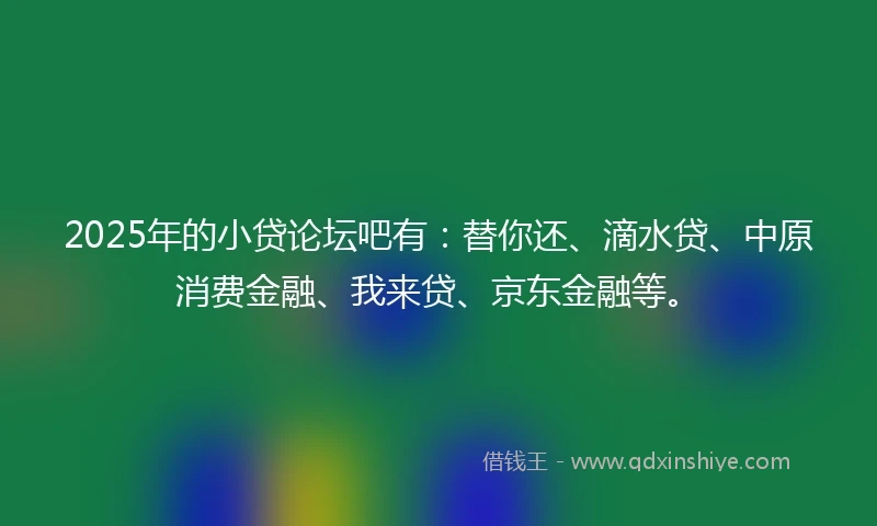 2025年的小贷论坛吧有：替你还、滴水贷、中原消费金融、我来贷、京东金融等。
