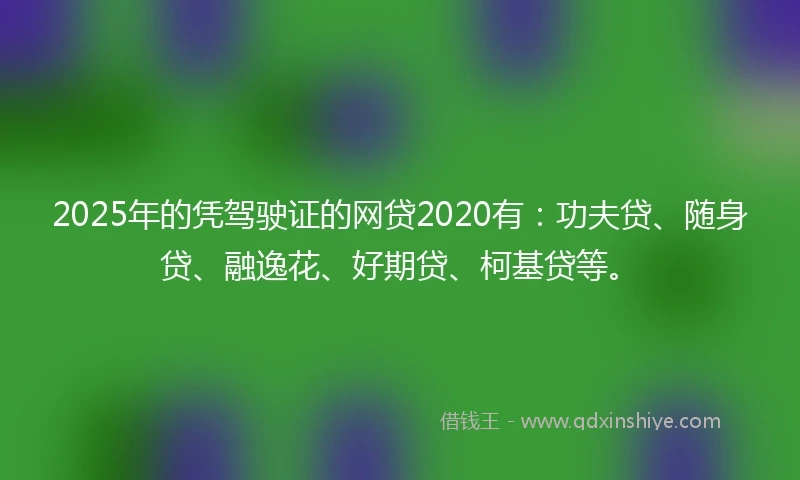 2025年的凭驾驶证的网贷2020有：功夫贷、随身贷、融逸花、好期贷、柯基贷等。