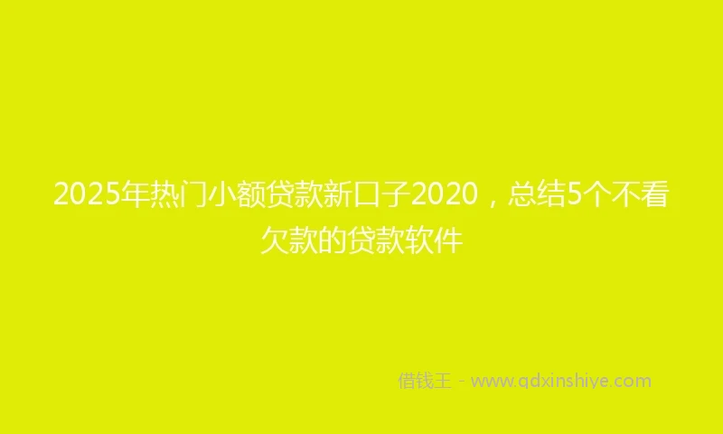 2025年热门小额贷款新口子2020，总结5个不看欠款的贷款软件