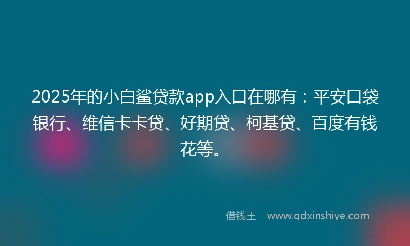 2025年的小白鲨贷款app入口在哪有：平安口袋银行、维信卡卡贷、好期贷、柯基贷、百度有钱花等。