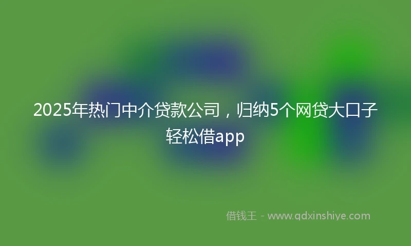 2025年热门中介贷款公司，归纳5个网贷大口子轻松借app