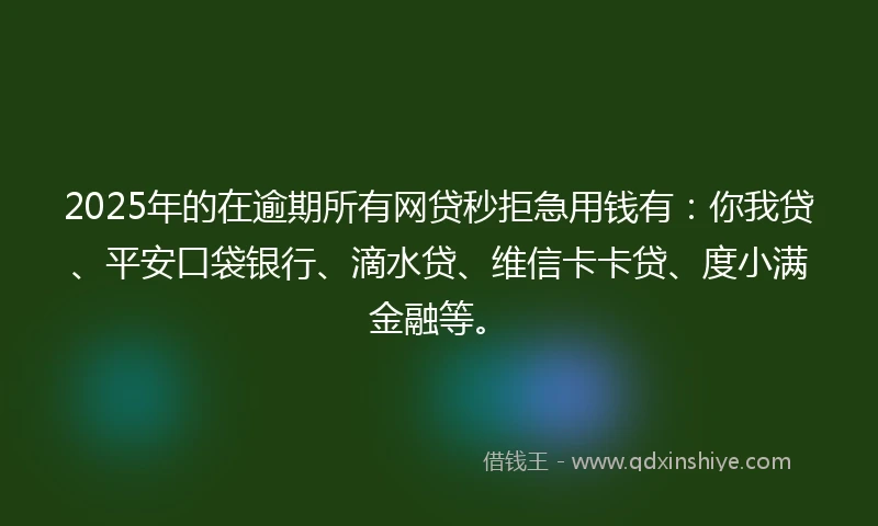 2025年的在逾期所有网贷秒拒急用钱有：你我贷、平安口袋银行、滴水贷、维信卡卡贷、度小满金融等。