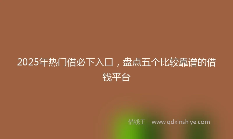 2025年热门借必下入口，盘点五个比较靠谱的借钱平台