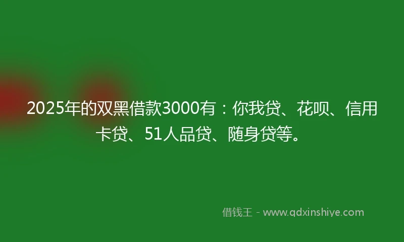 2025年的双黑借款3000有：你我贷、花呗、信用卡贷、51人品贷、随身贷等。