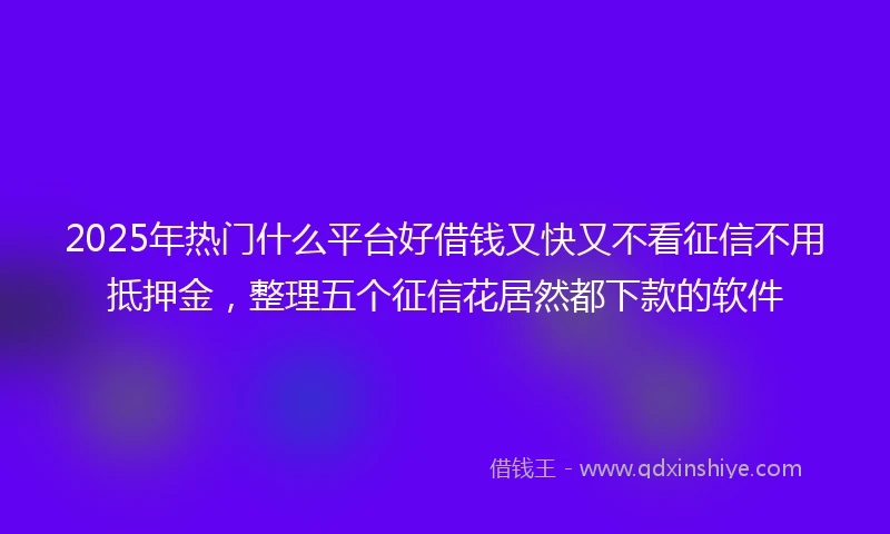 2025年热门什么平台好借钱又快又不看征信不用抵押金，整理五个征信花居然都下款的软件